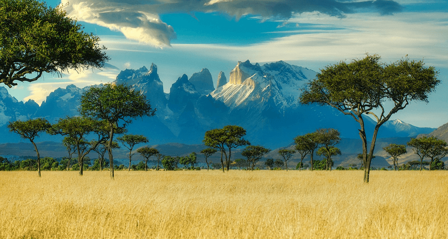 Welcome to Kenya - Official eTA application service with scenic landscape